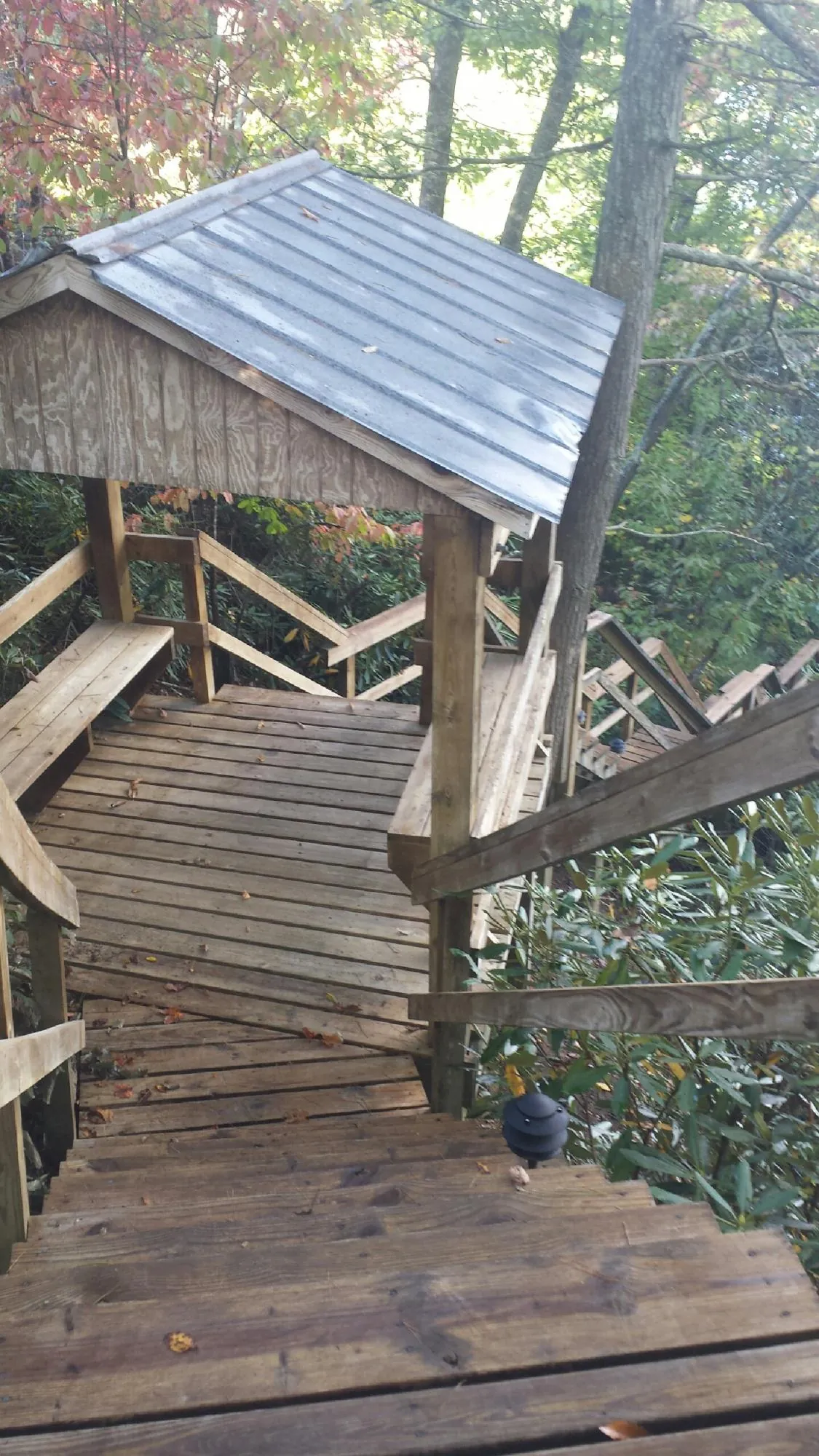 Metal roofed shelter over wooden steps on a wooded walkway — Skylight Repair & Installation work by our crew in Rapelje